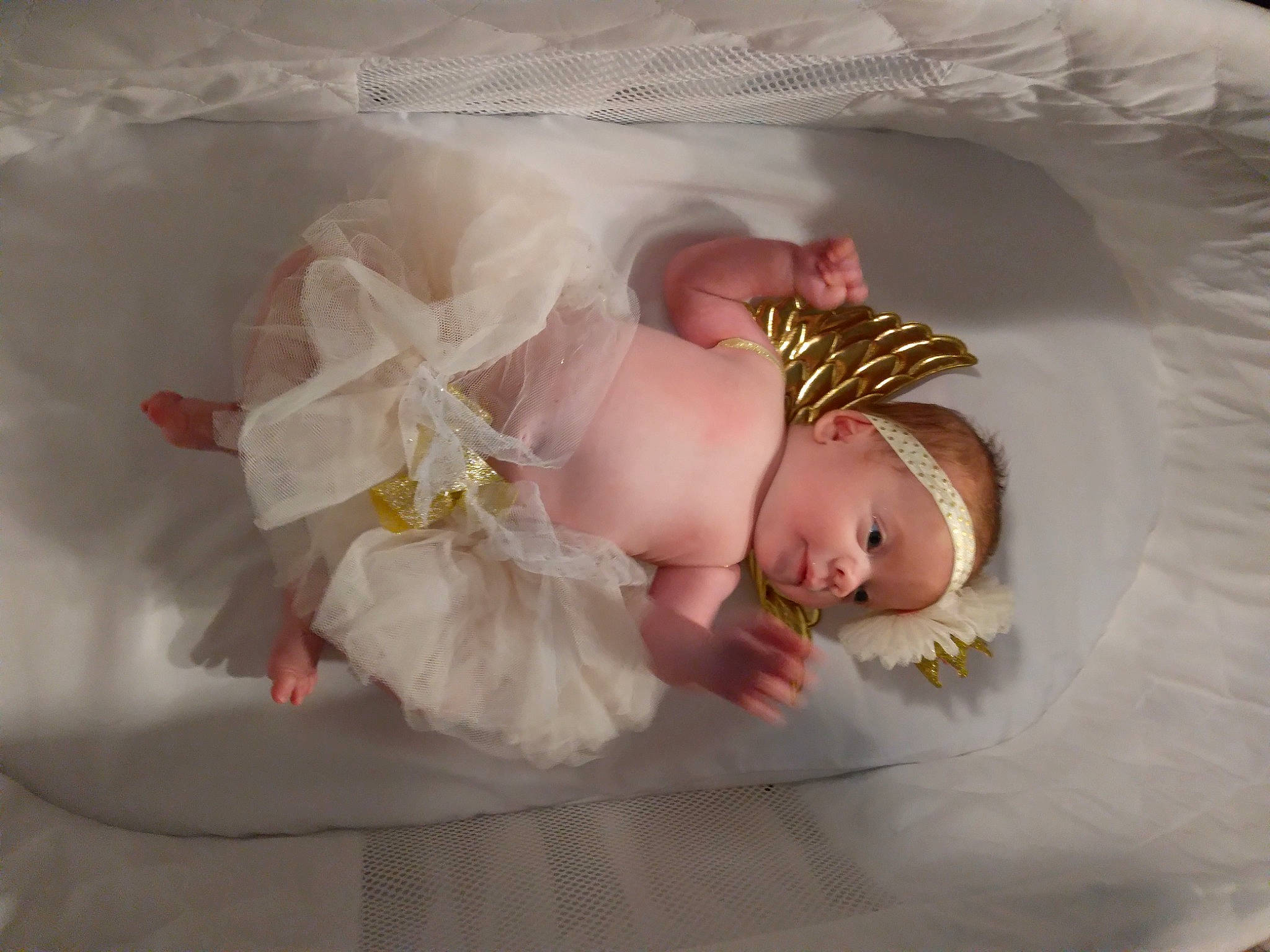 Haylee joined the competition — help win amazing prizes! baby, baby_toddler_clothing, bridal_accessory, child, cut_flowers, dress, embellishment, fashion_accessory, flower, hair_accessory, hand, headband, headgear, headpiece, headwear, person, petal, pink, plant, rose