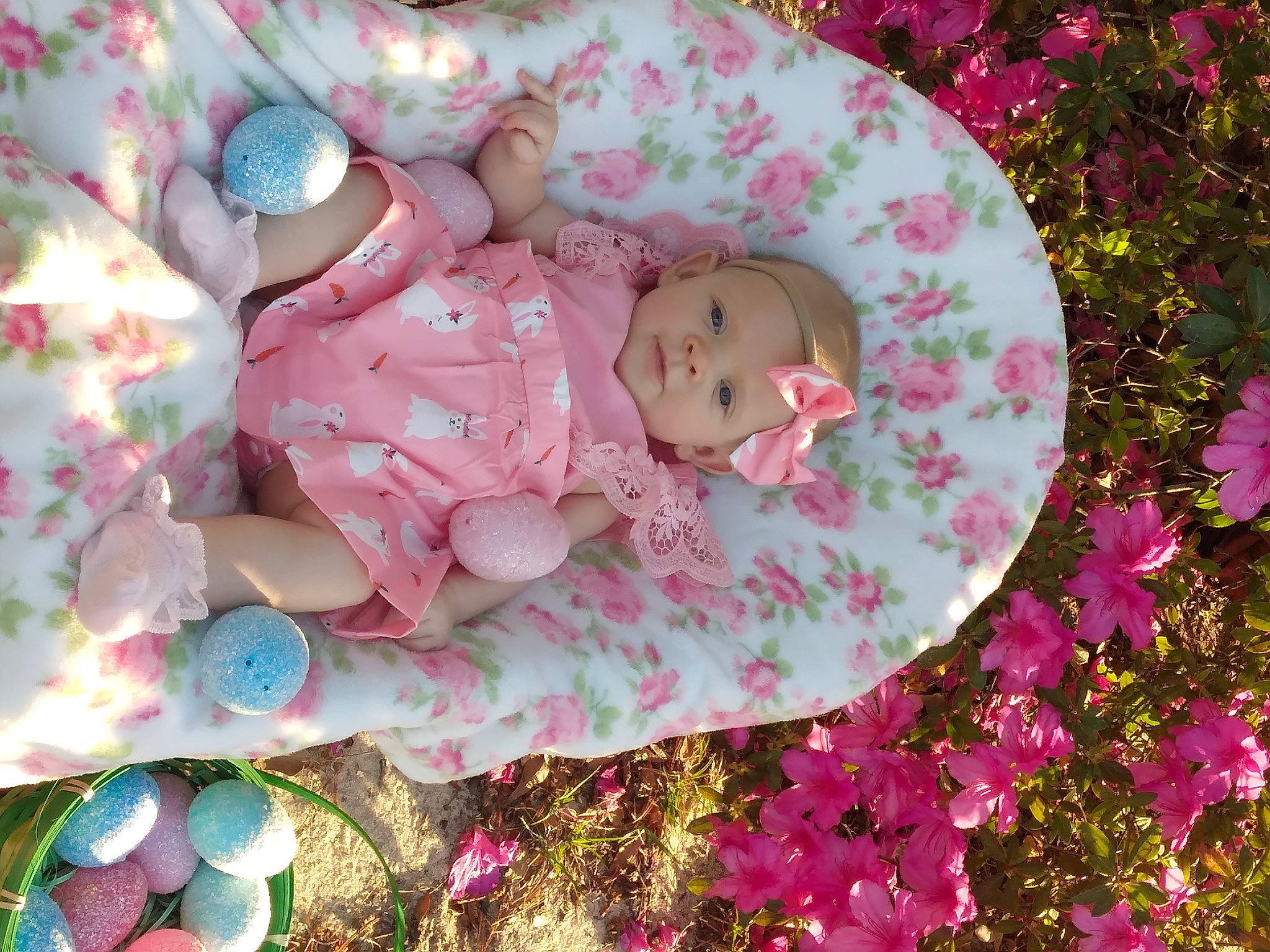 Haylee joined the competition — help win amazing prizes! baby, baby_products, baby_toddler_clothing, blossom, botany, cheek, child, dress, face, flower, head, headwear, leaf, linens, pattern, people_in_nature, person, petal, pink, plant