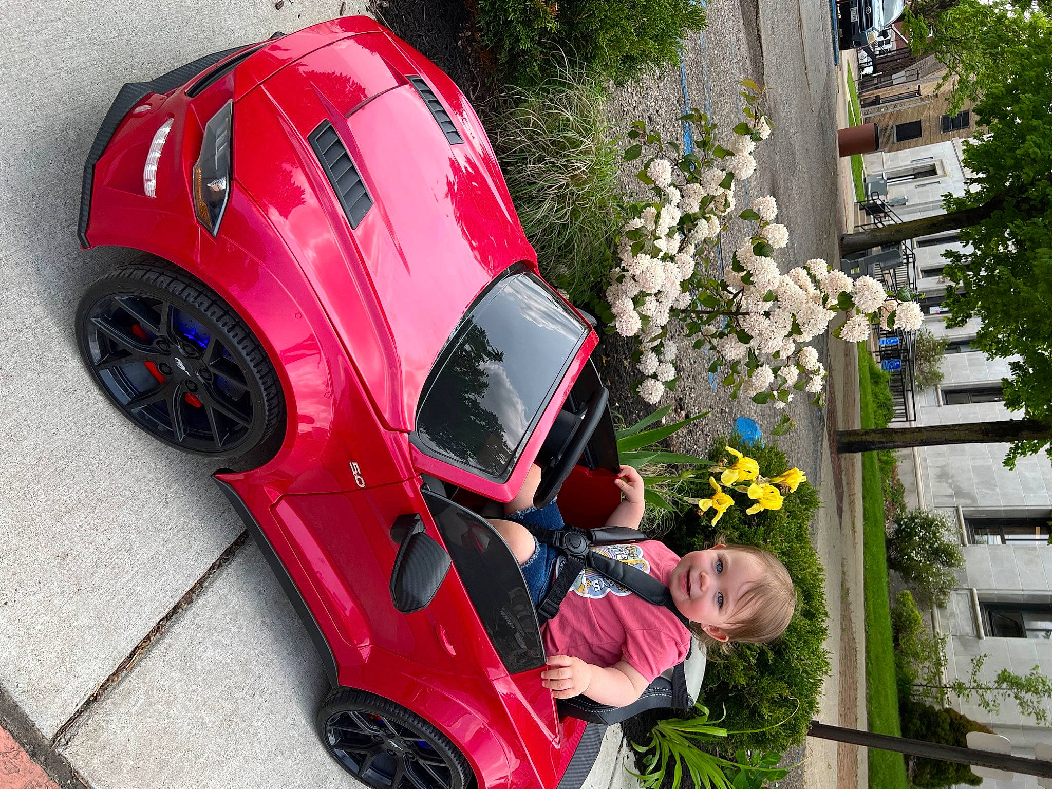 Ellarose is registered to the contest to win money with this photo: automotive_design, automotive_exterior, automotive_lighting, automotive_tire, automotive_wheel_system, car, family_car, fender, flower, joy, luxury_vehicle, motor_vehicle, performance_car, person, plant, rolling, tire, tree, vehicle, vehicle_door