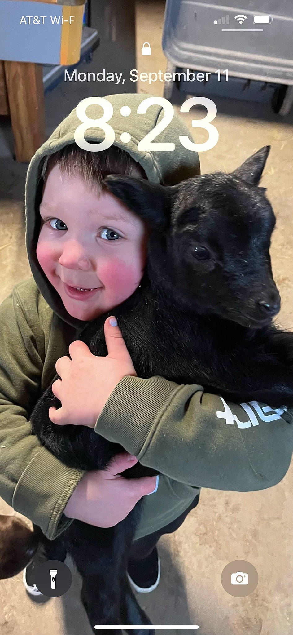 Emmett is registered to the contest to win money with this photo: cap, child, companion_dog, costume_hat, dog_breed, fashion_accessory, fawn, fun, fur, gesture, goat, goats, happy, headgear, headpiece, headwear, mammal, person, personal_protective_equipment, smile