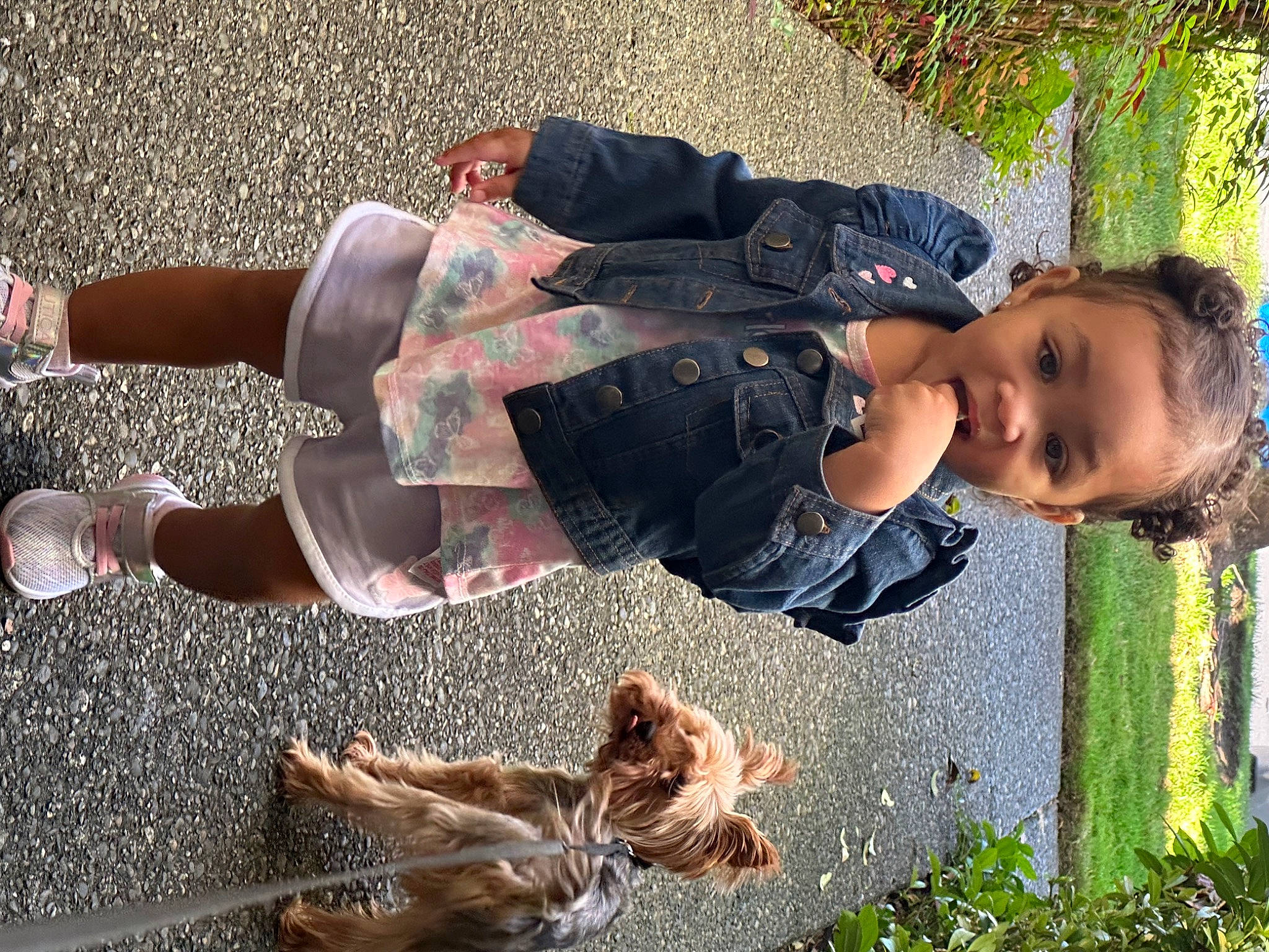 Kamiyah is registered to the contest to win money with this photo: asphalt, canidae, child, companion_dog, foot, fun, fur, grass, happy, human_leg, leisure, people_in_nature, person, plant, shadow, shorts, sitting, soil, thigh, toddler