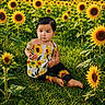 toddler, child, sunflower, field, grass, outdoor, nature, greenery, flower, yellow, summer, cute, barefoot, portrait, sitting, young_child, plants, sunlight, colorful, baby