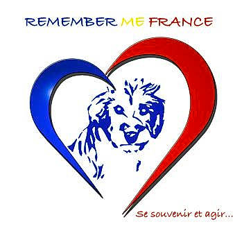 Chopin participe au concours pour gagner de l'argent avec cette photo : clip_art, font, graphics, logo, symbol