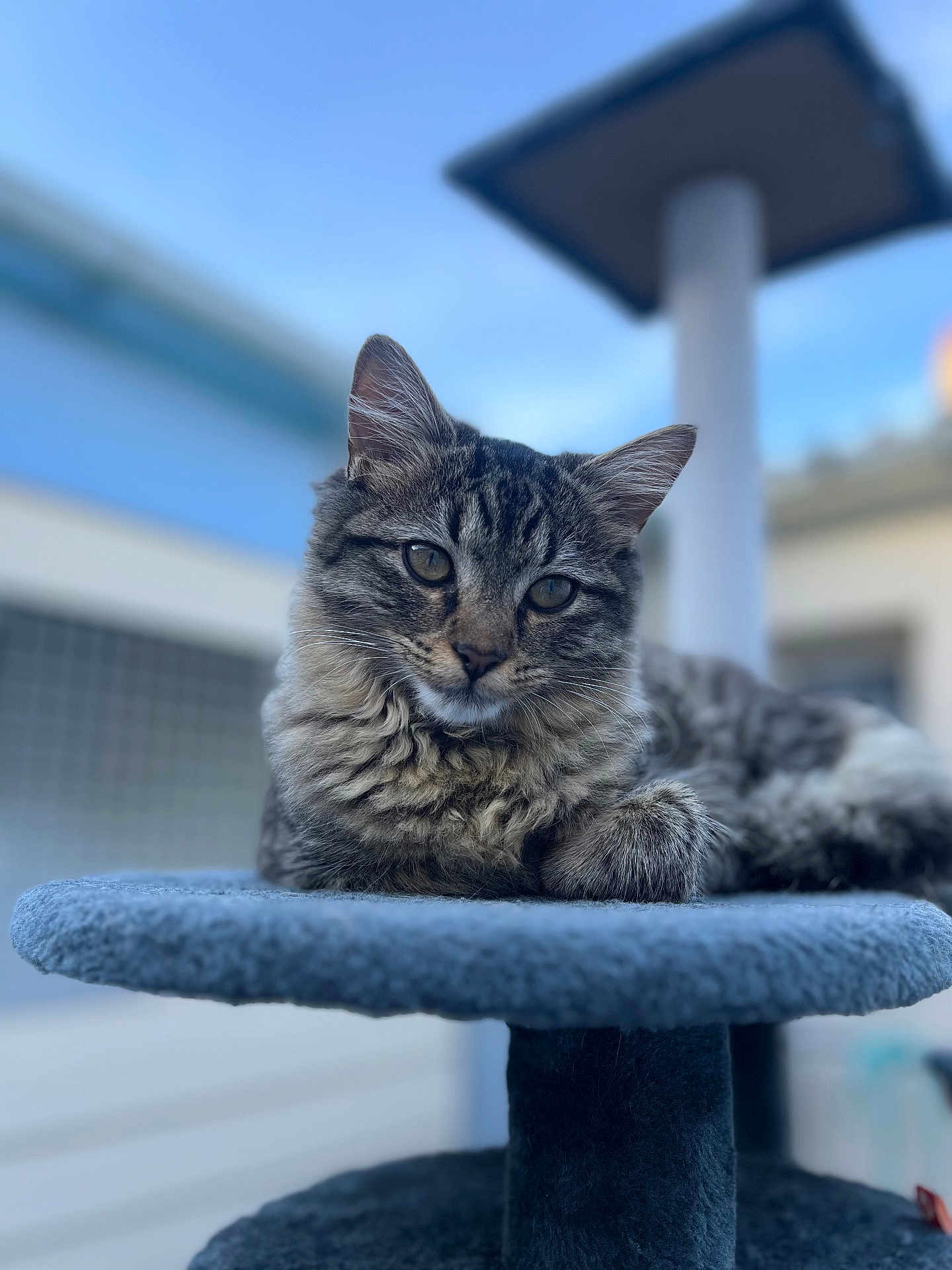 Mia