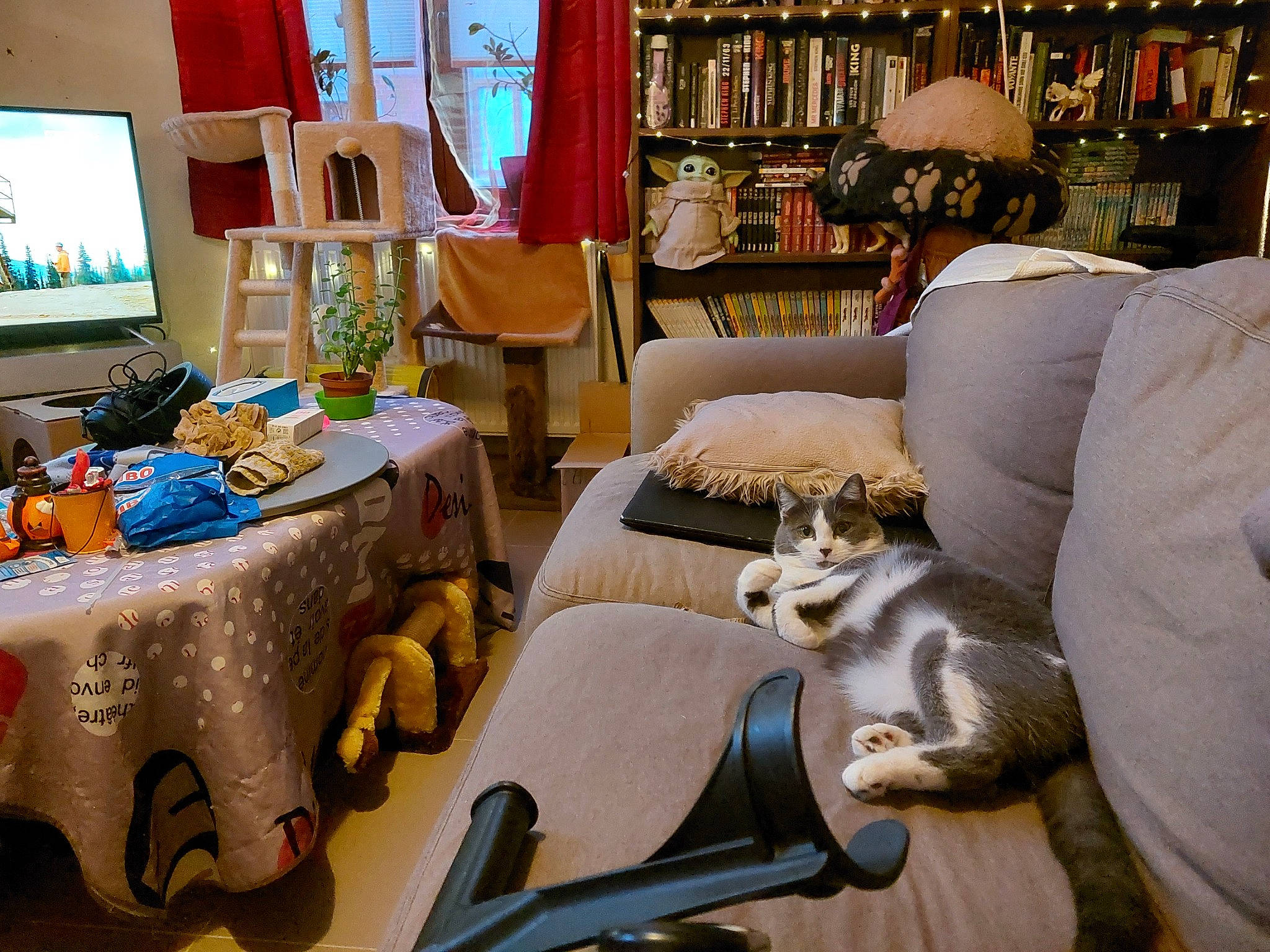 Indiana a rejoint le concours — aidez-le/la à gagner de superbes lots ! building, city, coffee_table, comfort, furniture, house, interior_design, lamp, linens, living_room, picture_frame, pillow, room, shelf, shelving, studio_couch, table, television, textile, wood