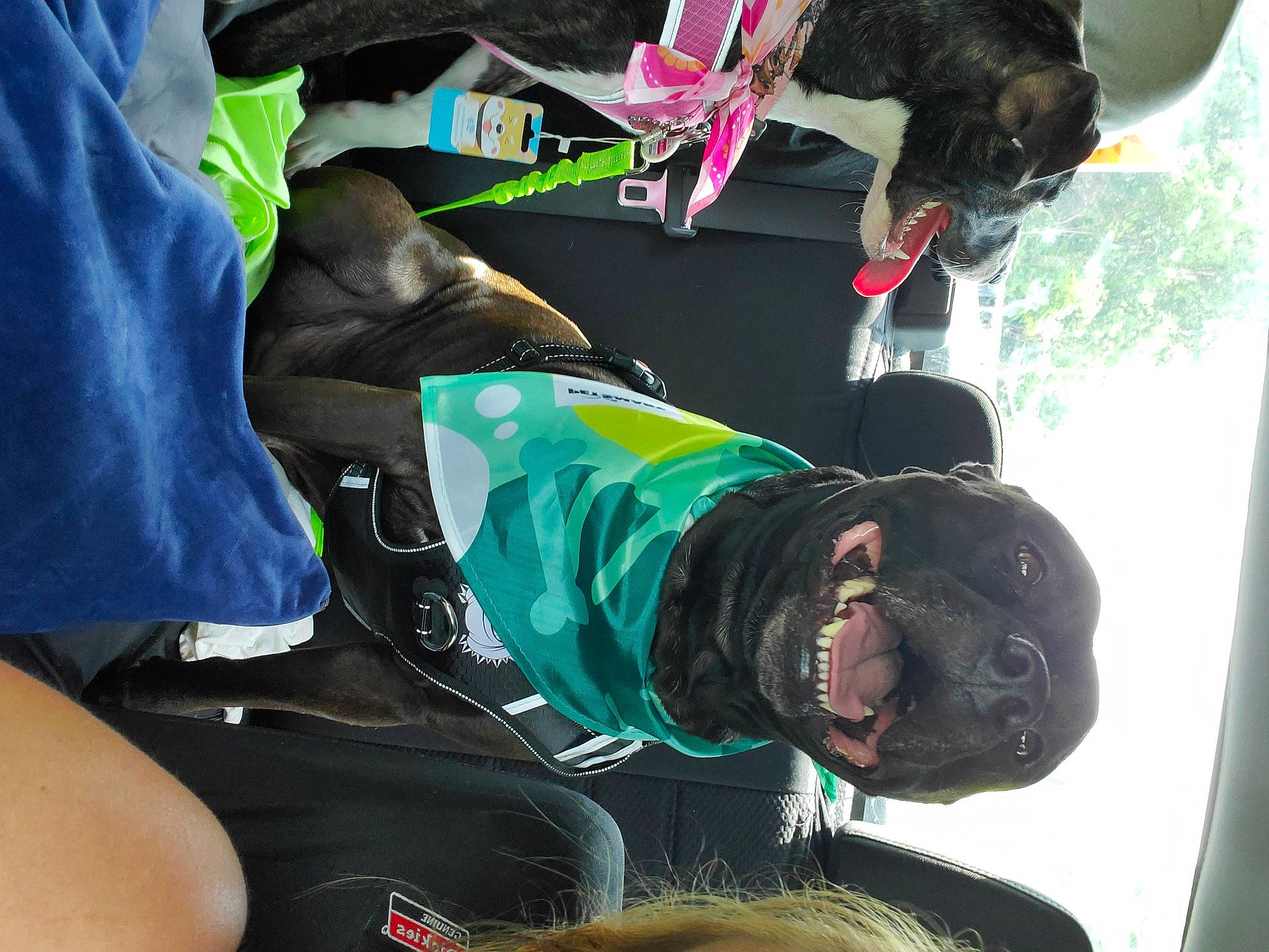 Kiser is registered to the contest to win money with this photo: