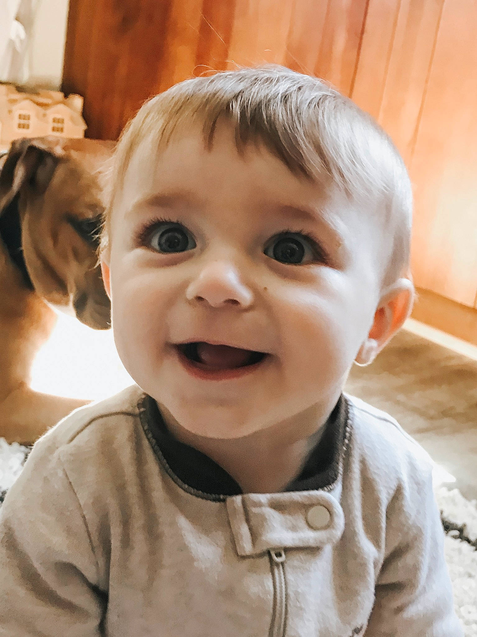 Jethro joined the competition — help win amazing prizes! baby, blond, cheek, child, chin, ear, eye, face, facial_expression, forehead, happy, head, laugh, mouth, nose, person, skin, smile, toddler