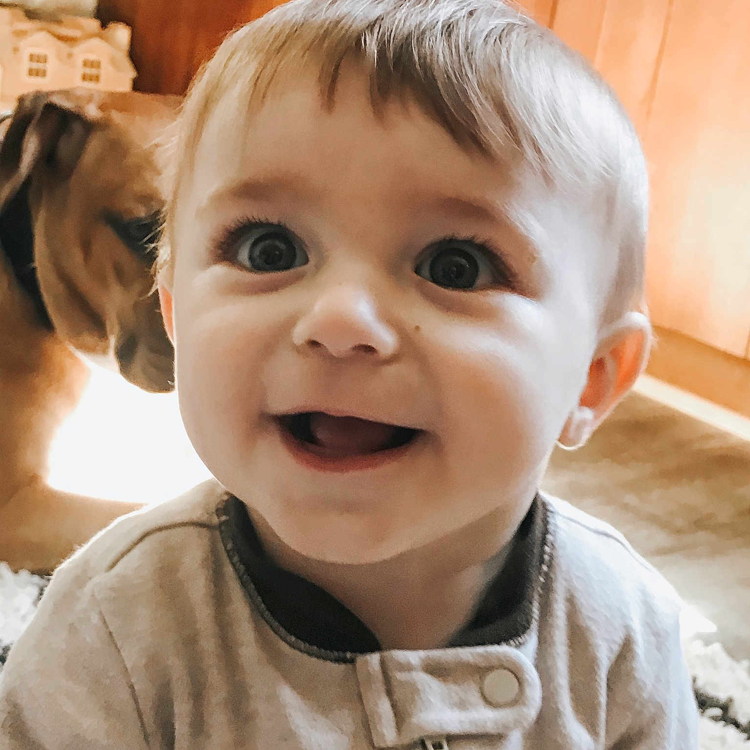 Jethro joined the competition — help win amazing prizes! baby, blond, cheek, child, chin, ear, eye, face, facial_expression, forehead, happy, head, laugh, mouth, nose, person, skin, smile, toddler