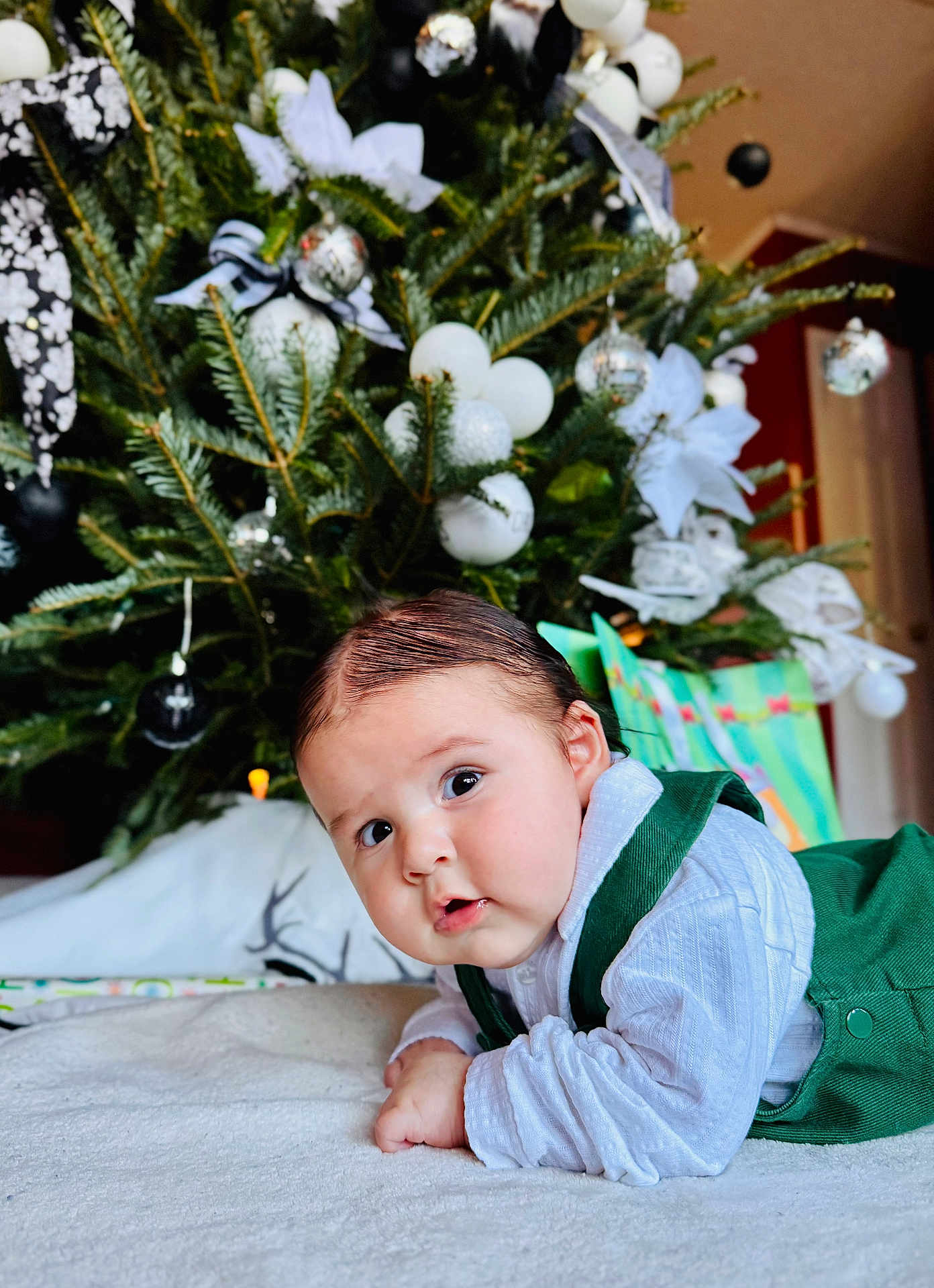 Andrés Torres Jr joined the competition — help win amazing prizes! baby, celebration, child, christmas_tree, curious, cute, decorations, drool, eyes, face, festive, green_outfit, holiday, holiday_gift, home, indoors, infant, portrait, present, white_blanket
