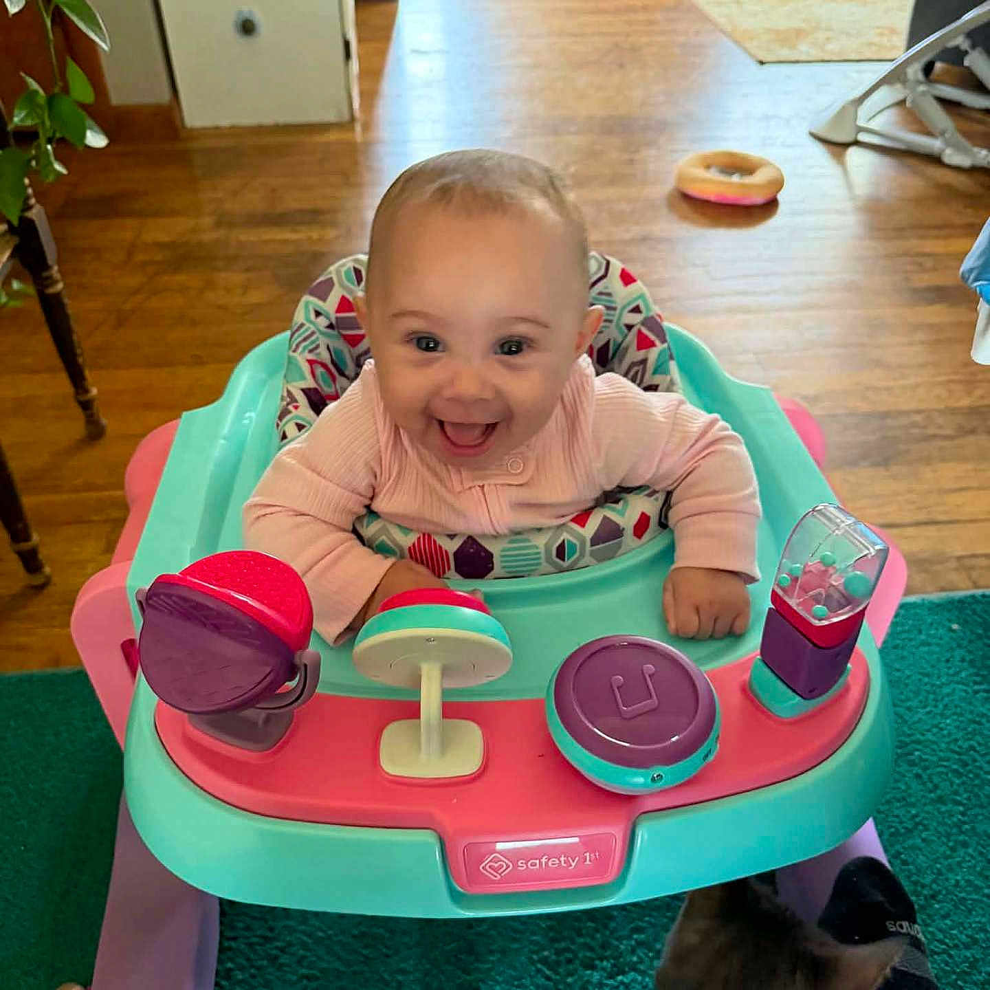 Brynlii joined the competition — help win amazing prizes! baby, cat, child, colorful, cute, floor, furniture, happy, home, indoor, infant, joyful, person, pet, playful, seat, smiling, toy, walker, wooden_floor