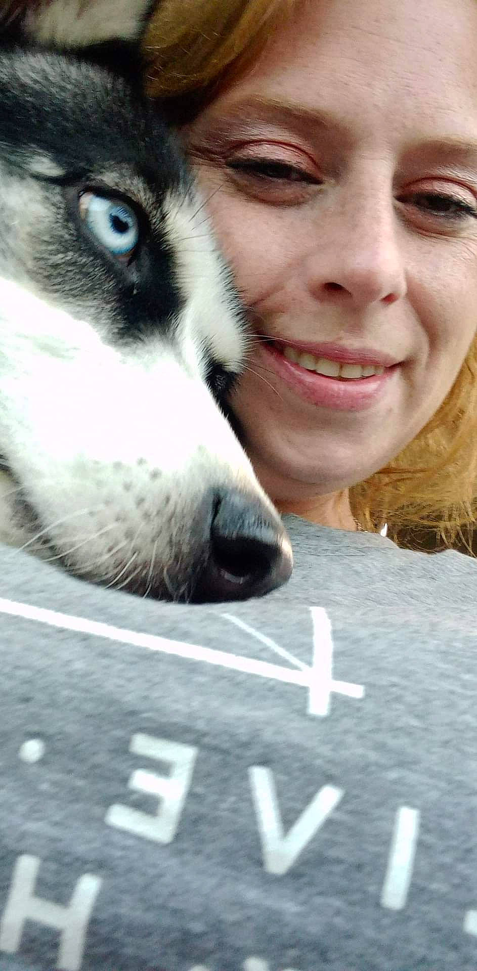 Rosey joined the competition — help win amazing prizes! canidae, carnivore, close_up, companion_dog, dog, dog_breed, eyewear, fur, happy, jaw, nose, photo_caption, photograph, siberian_husky, sled_dog, smile, snapshot, snout, sporting_group, whiskers