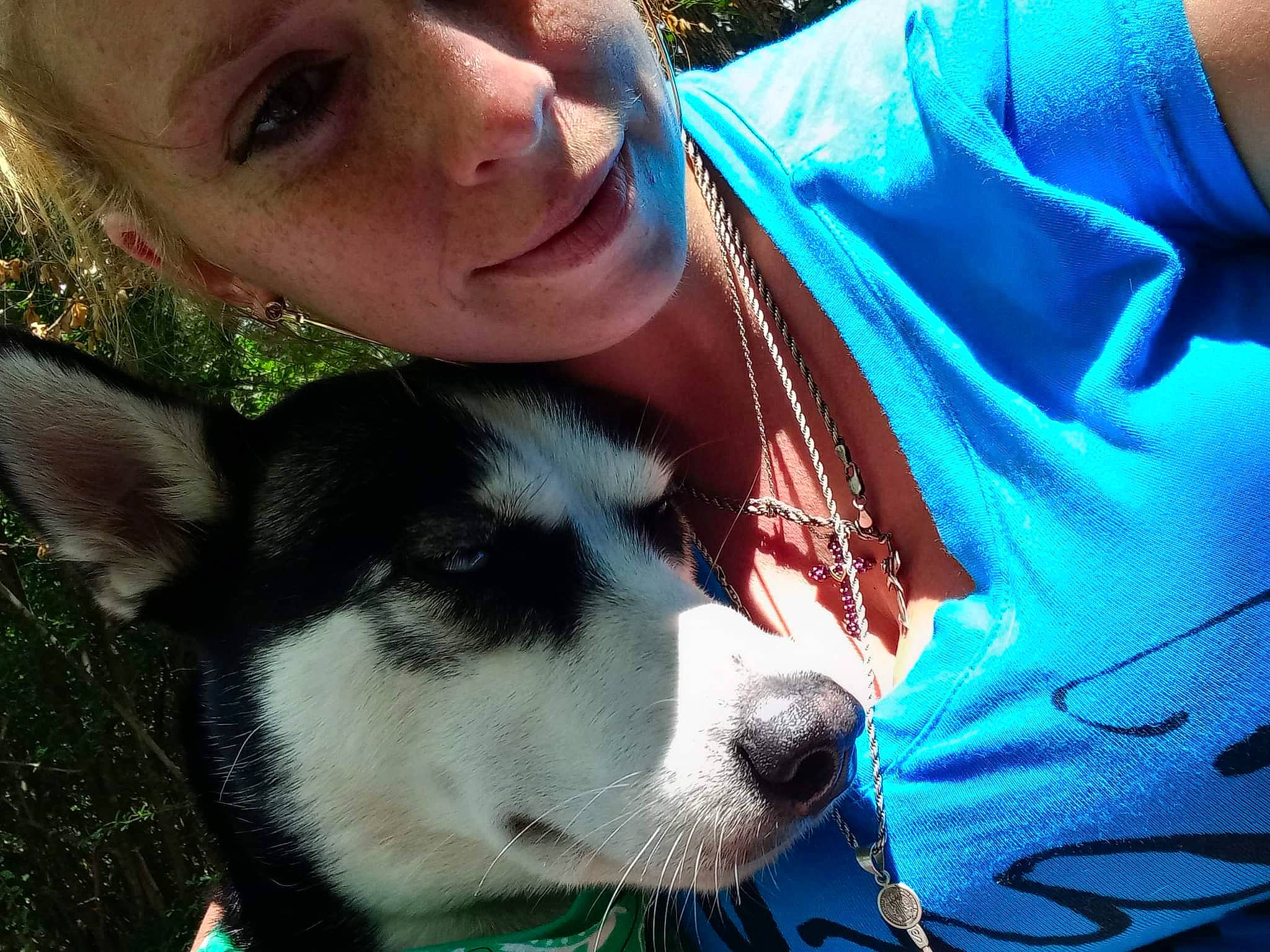 Rosey joined the competition — help win amazing prizes! canidae, carnivore, companion_dog, cool, dog, dog_breed, eyewear, fur, grass, happy, jaw, nose, plant, selfie, siberian_husky, sled_dog, snout, sporting_group, tree, whiskers