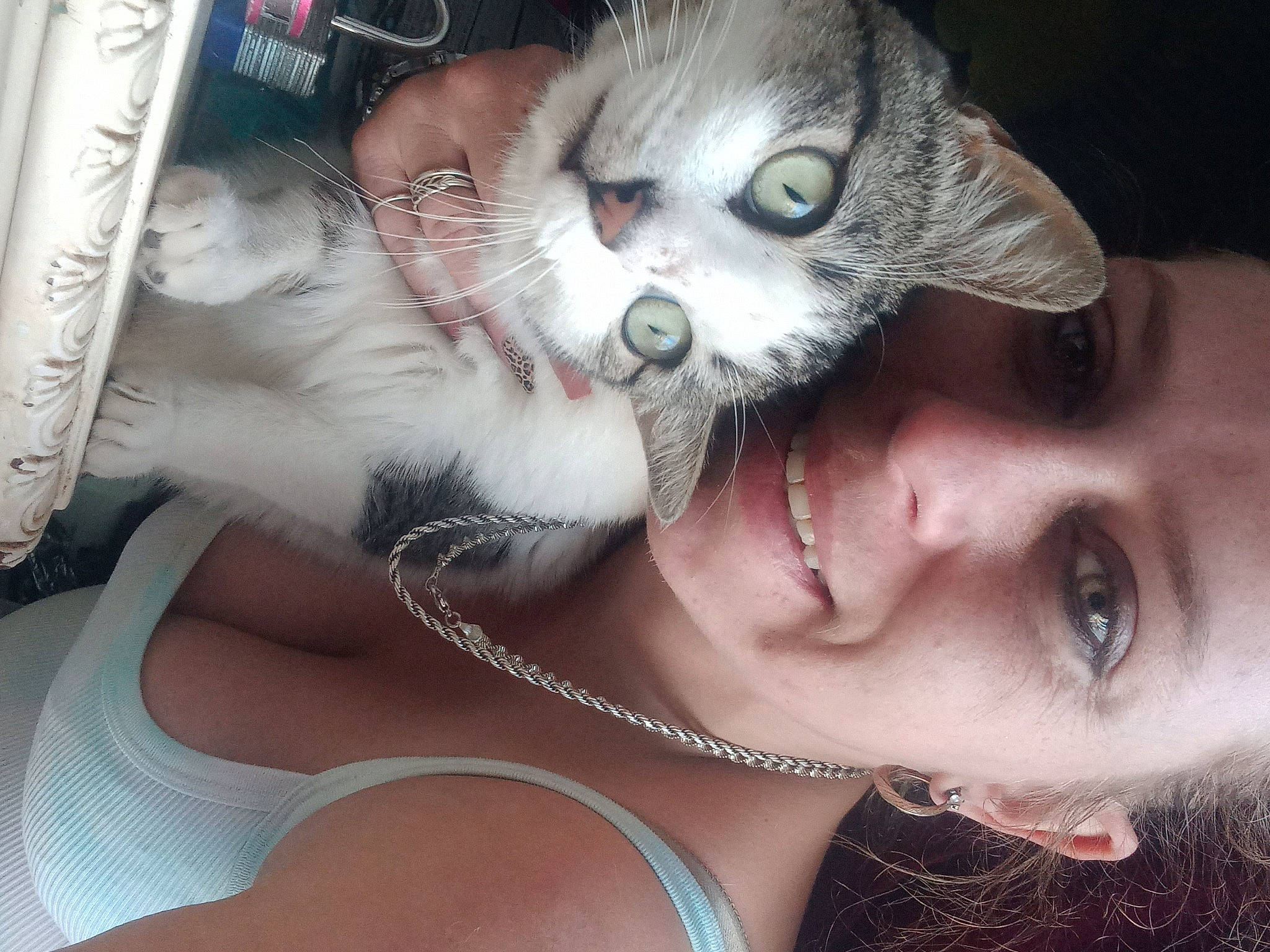 Sweetpea is registered to the contest to win money with this photo: carnivore, cat, cool, eye, eyebrow, eyelash, felidae, flash_photography, gesture, glasses, happy, iris, jaw, mouth, nose, organ, skin, small_to_medium_sized_cats, sunglasses, vision_care