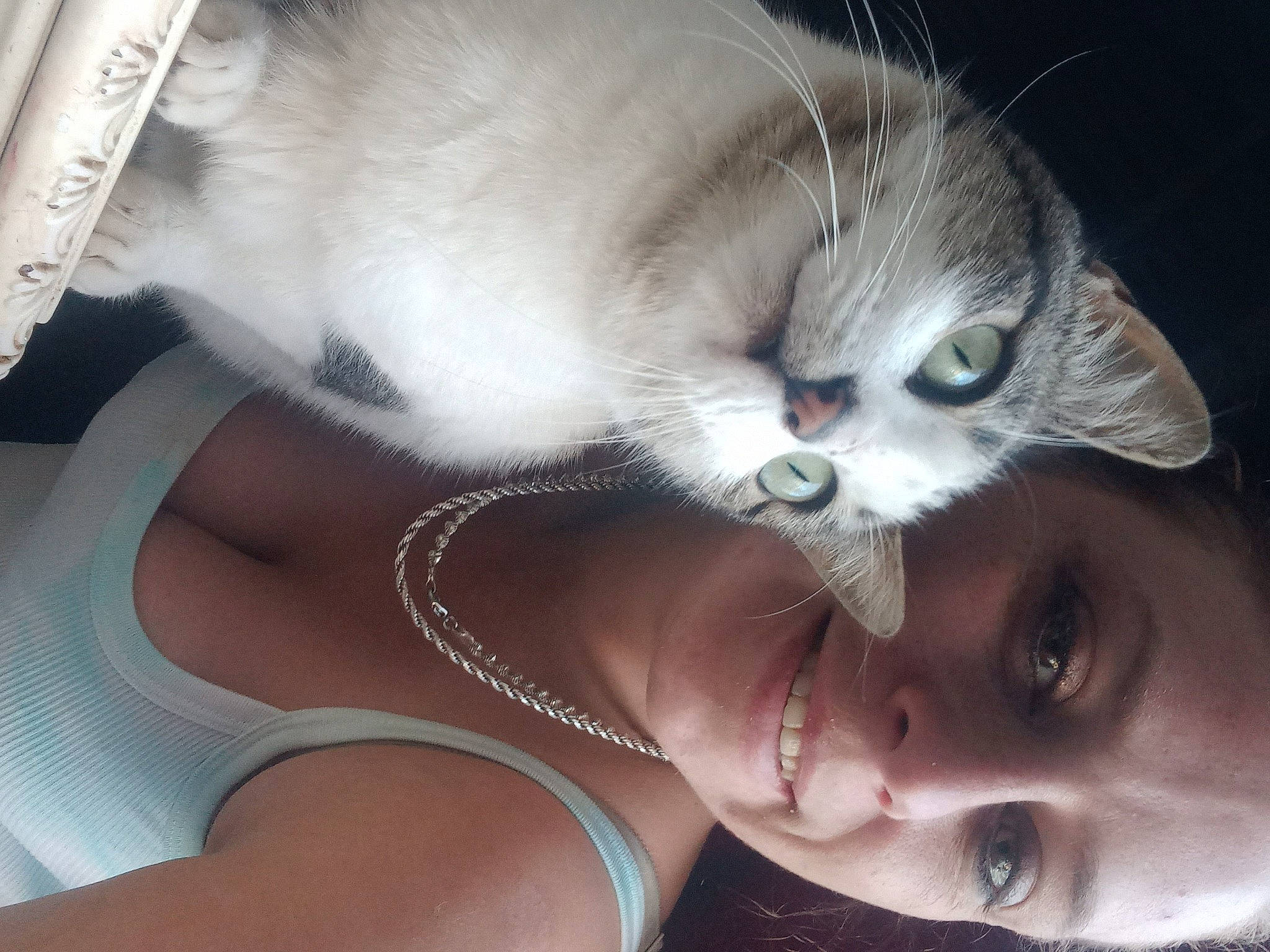 Sweetpea is registered to the contest to win money with this photo: carnivore, cat, ear, eyebrow, eyelash, fawn, felidae, gesture, glasses, happy, iris, jaw, mammal, mouth, nose, plant, skin, sunglasses, vertebrate, vision_care