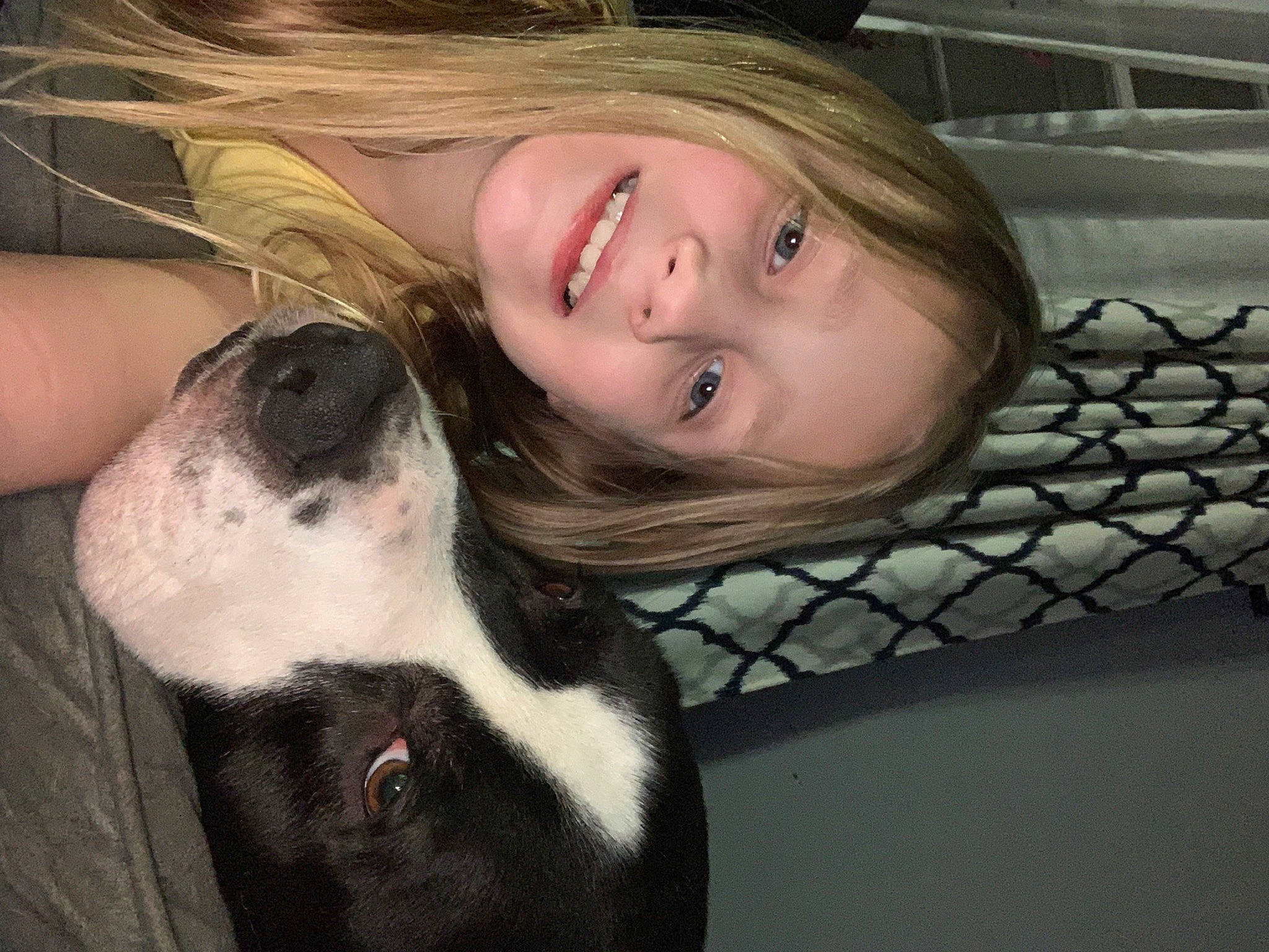 Peyton is registered to the contest to win money with this photo: carnivore, comfort, companion_dog, dog, dog_breed, eye, eyelash, fawn, flash_photography, fun, fur, happy, human_leg, joy, nose, organ, person, sitting, skin, smile