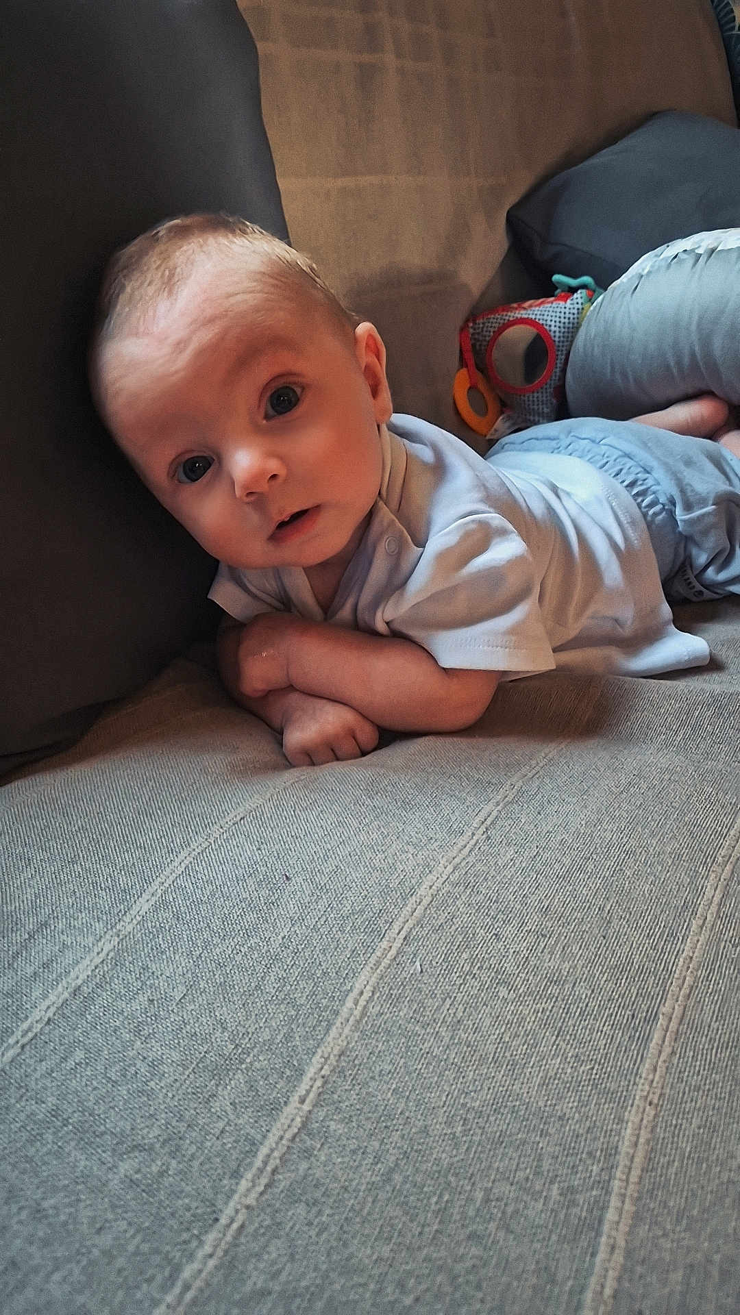 Lukas participe au concours pour gagner de l'argent avec cette photo : baby, child, infant, couch, cushion, blanket, blue_clothing, face, head, arms, indoor, portrait, curious, wide_eyes, soft_lighting, relaxed, home, resting, close_up, person