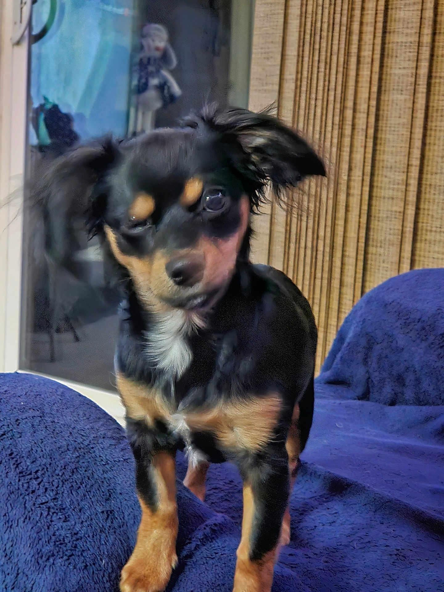 Zoey