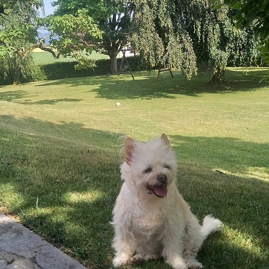 Rex.