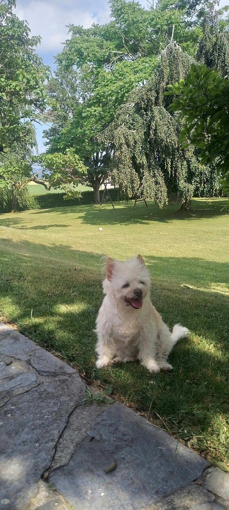 Rex.