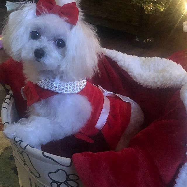 Lacie Lou
