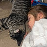 Ozzy Lopez joined the competition — help win amazing prizes! blanket, cat, child, close_up, comfort, couch, cozy, face, fur, home, indoor, nap, peaceful, pet, relaxing, resting, sleeping, soft_texture, striped, tabby_cat