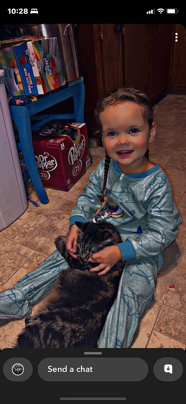 Kaylani joined the competition — help win amazing prizes! blue, bookcase, cat, chair, child, companion_dog, domestic_short_haired_cat, felidae, flooring, fun, fur, joy, mammal, person, shelf, shelving, sitting, small_to_medium_sized_cats, smile, toddler