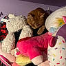 animal, cat, colorful, cozy, cute, decor, fur, indoor, orange_cat, pet, pink, plush_toy, purple_wall, quiet, resting, shelf, soft_texture, stuffed_animal, white, yellow