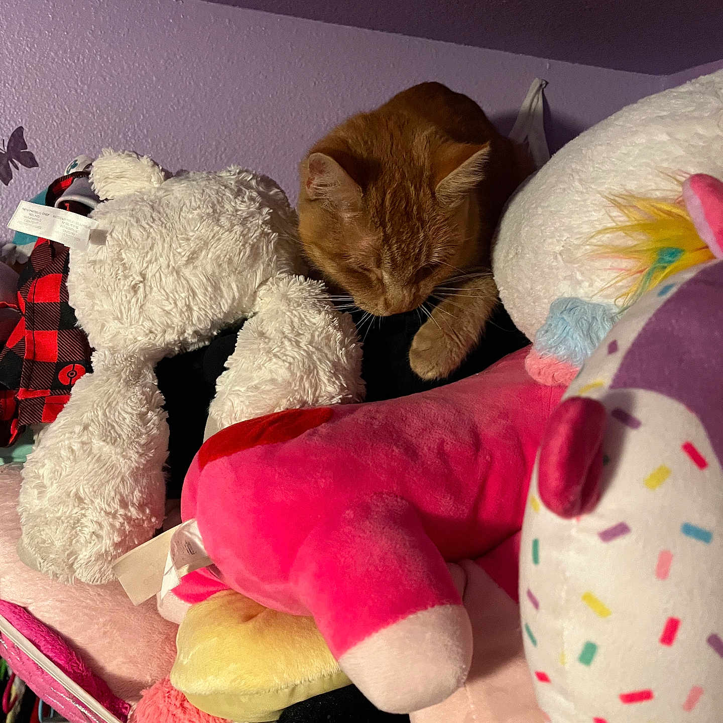 Mejorita is registered to the contest to win money with this photo: animal, cat, colorful, cozy, cute, decor, fur, indoor, orange_cat, pet, pink, plush_toy, purple_wall, quiet, resting, shelf, soft_texture, stuffed_animal, white, yellow