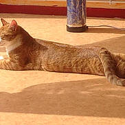 Angelo participe au concours pour gagner de l'argent avec cette photo :