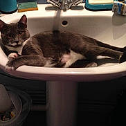 Lana participe au concours pour gagner de l'argent avec cette photo :