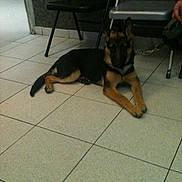 Xena a rejoint le concours — aidez-le/la à gagner de superbes lots !