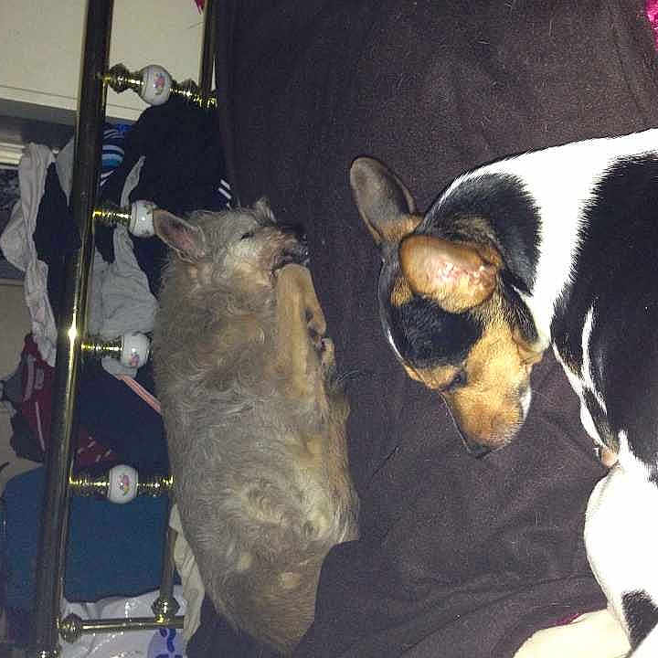 Lady Lou is registered to the contest to win money with this photo: