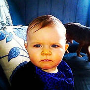 Luna a rejoint le concours — aidez-le/la à gagner de superbes lots !