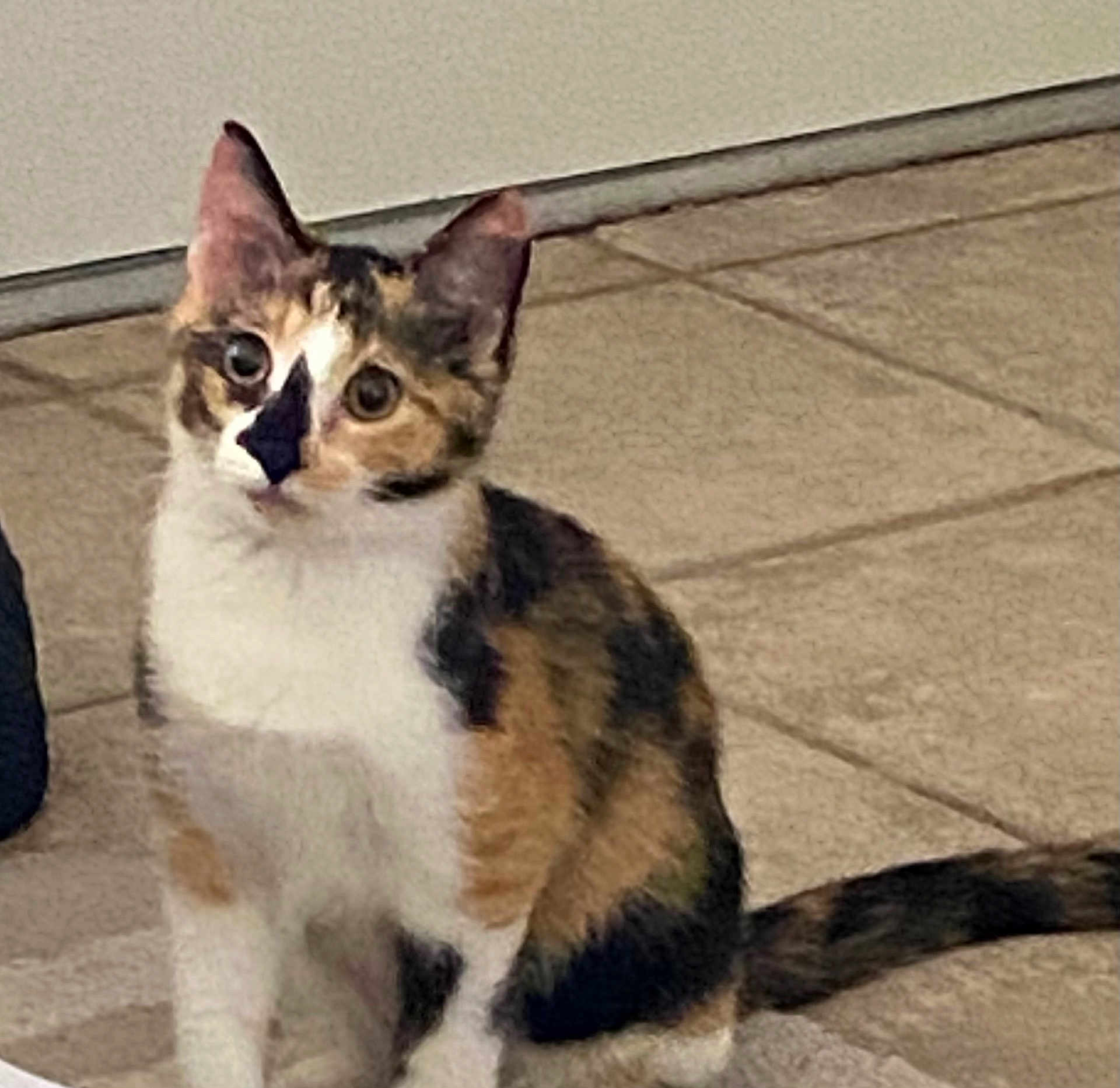 Winnie
