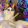 animal, bed, blanket, cat, colorful, cozy, cute, digital_overlay, feline, fire_horns, fluffy, indoor, neon_stars, pet, playful, portrait, relaxed, sunglasses, tiger_heads, whimsical