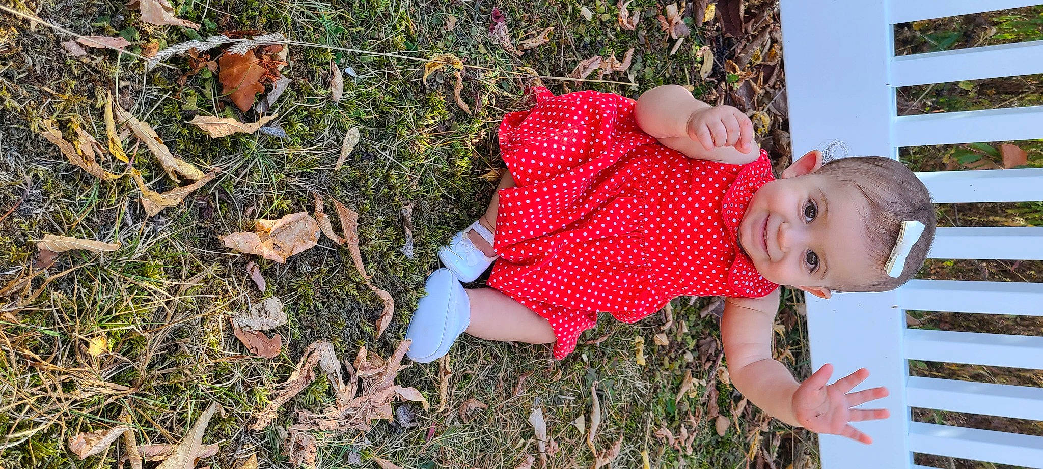 Calliope is registered to the contest to win money with this photo: baby, child, fawn, grass, grass_family, joy, leaf, pattern, person, plant, play, toddler, tree