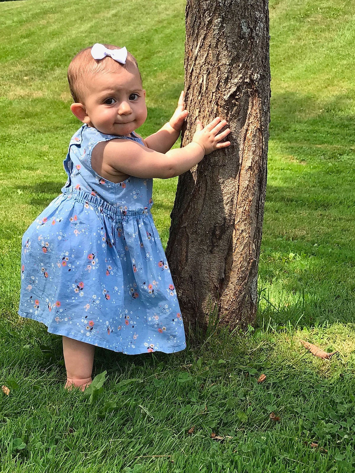 Calliope is registered to the contest to win money with this photo: child, dress, grass, happy, leaf, pattern, people_in_nature, person, plant, play, spring, summer, toddler, tree, trunk, woody_plant