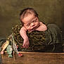baby, newborn, infant, sleeping, wooden_crate, blanket, plush, olive_green, arm, closed_eyes, portrait, studio_lighting, prop, peaceful, cozy, hand, textured_background, painted_fish, wood, soft_fabric