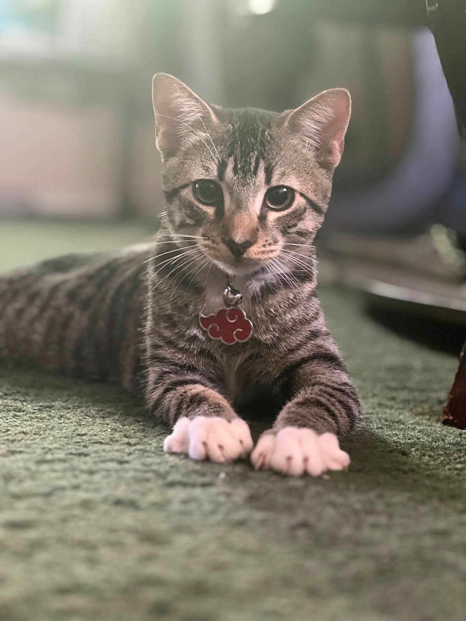Greyson