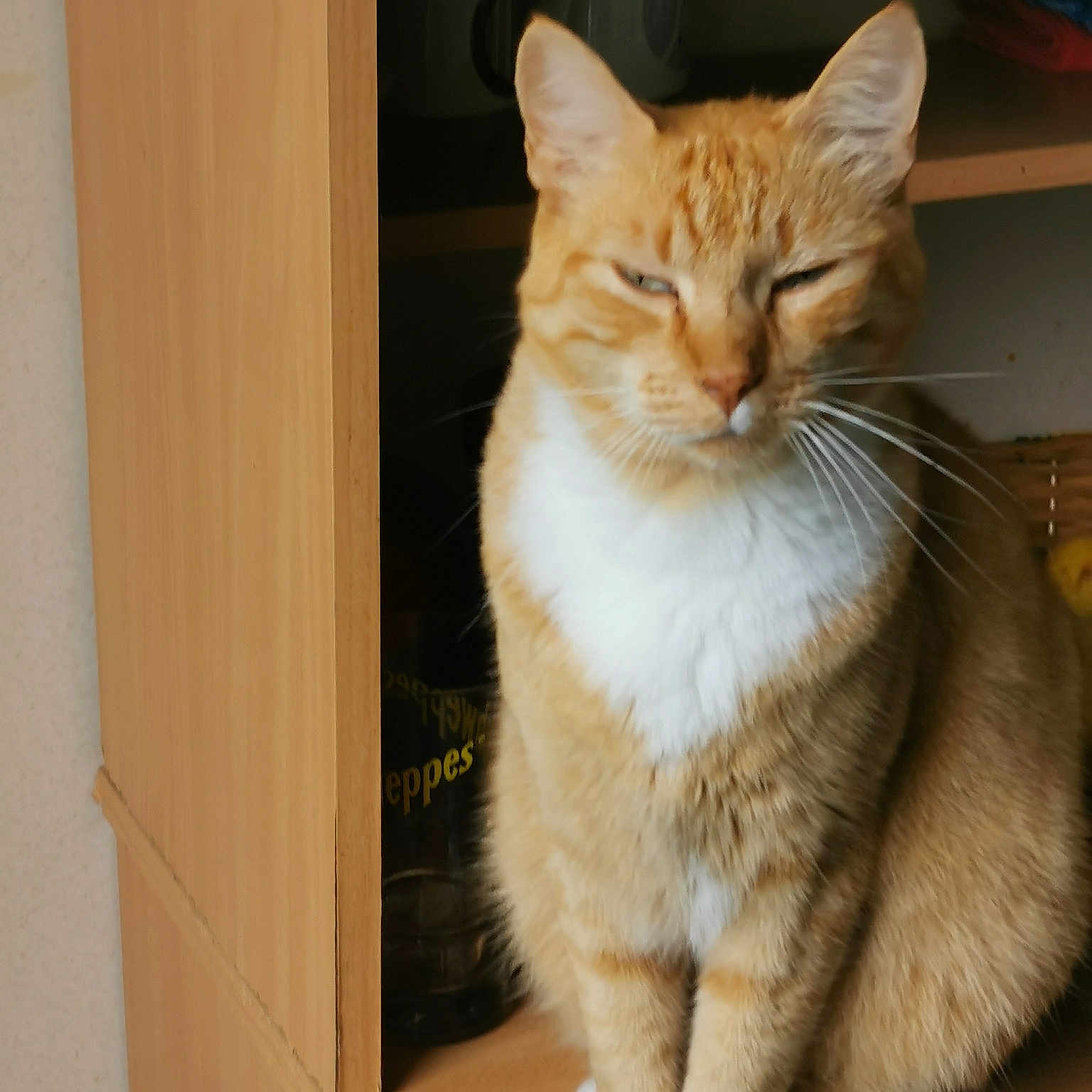 Caramel