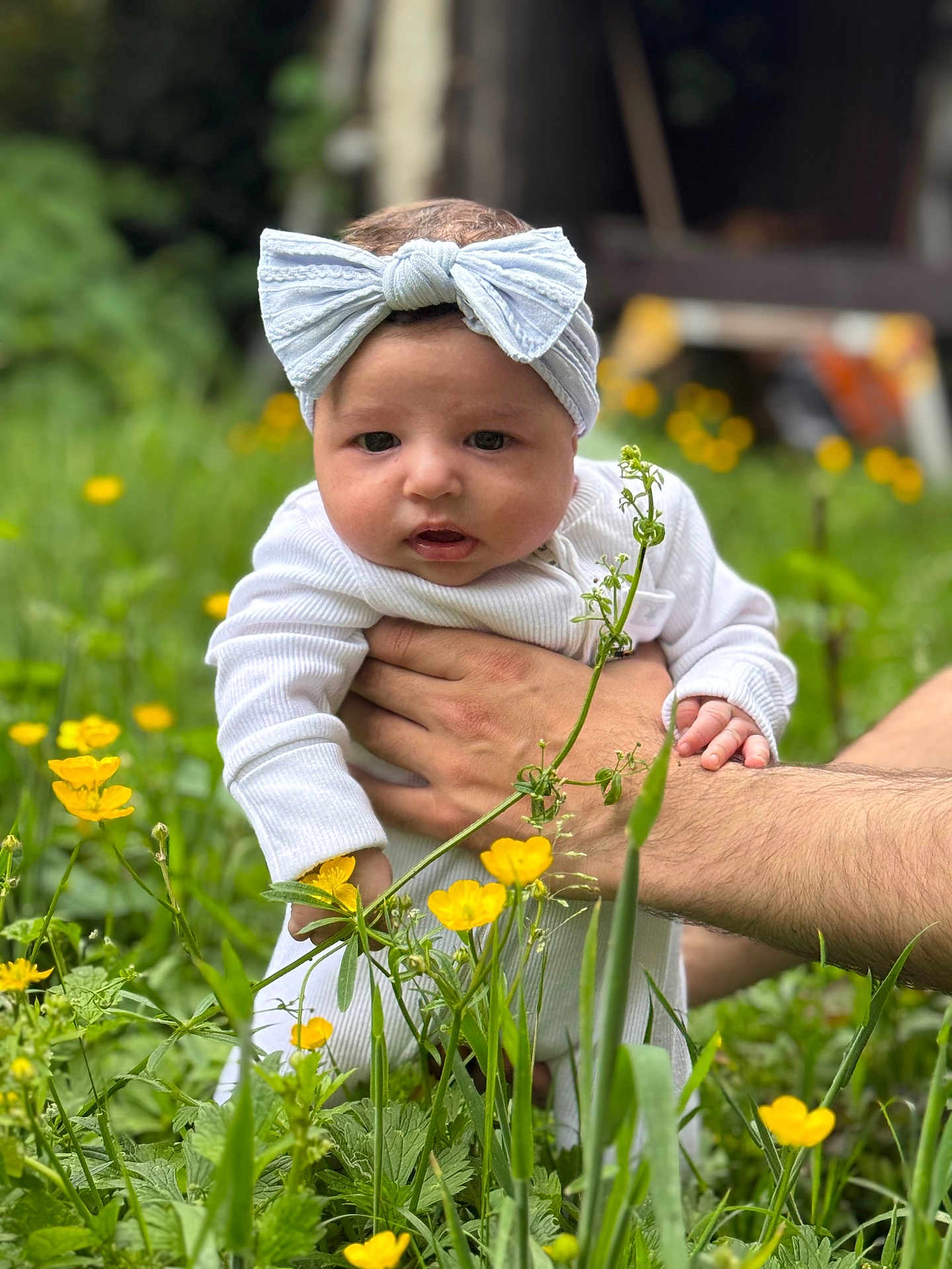 Diana is registered to the contest to win money with this photo: baby, child, headband, white_clothing, hand, flower, yellow_flower, greenery, outdoor, nature, grass, person, infant, cute, portrait, garden, flora, young, holding, skin