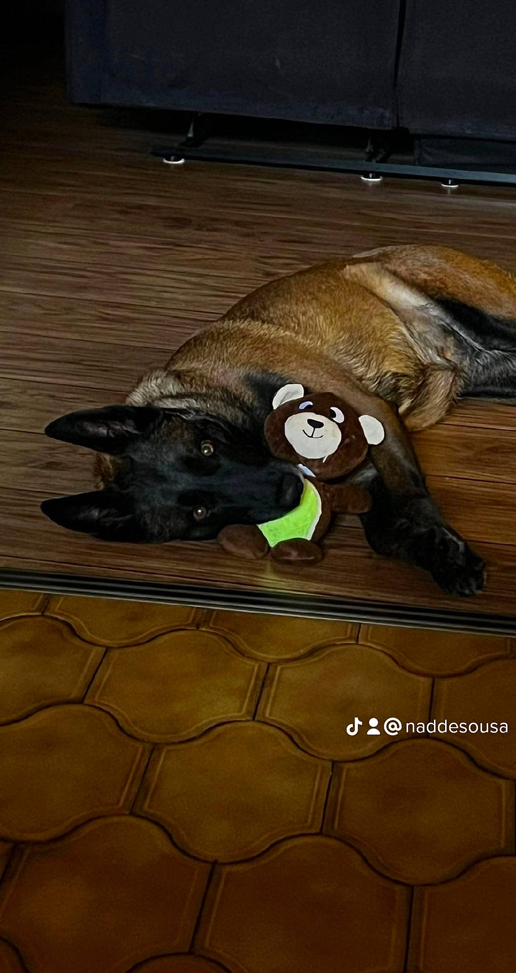 Mistik participe au concours pour gagner de l'argent avec cette photo : art, dog_breed, fawn, floor, flooring, foot, fur, grass, hardwood, human_leg, landscape, painting, road_surface, shadow, snout, soil, terrestrial_animal, wildlife, wood, working_animal