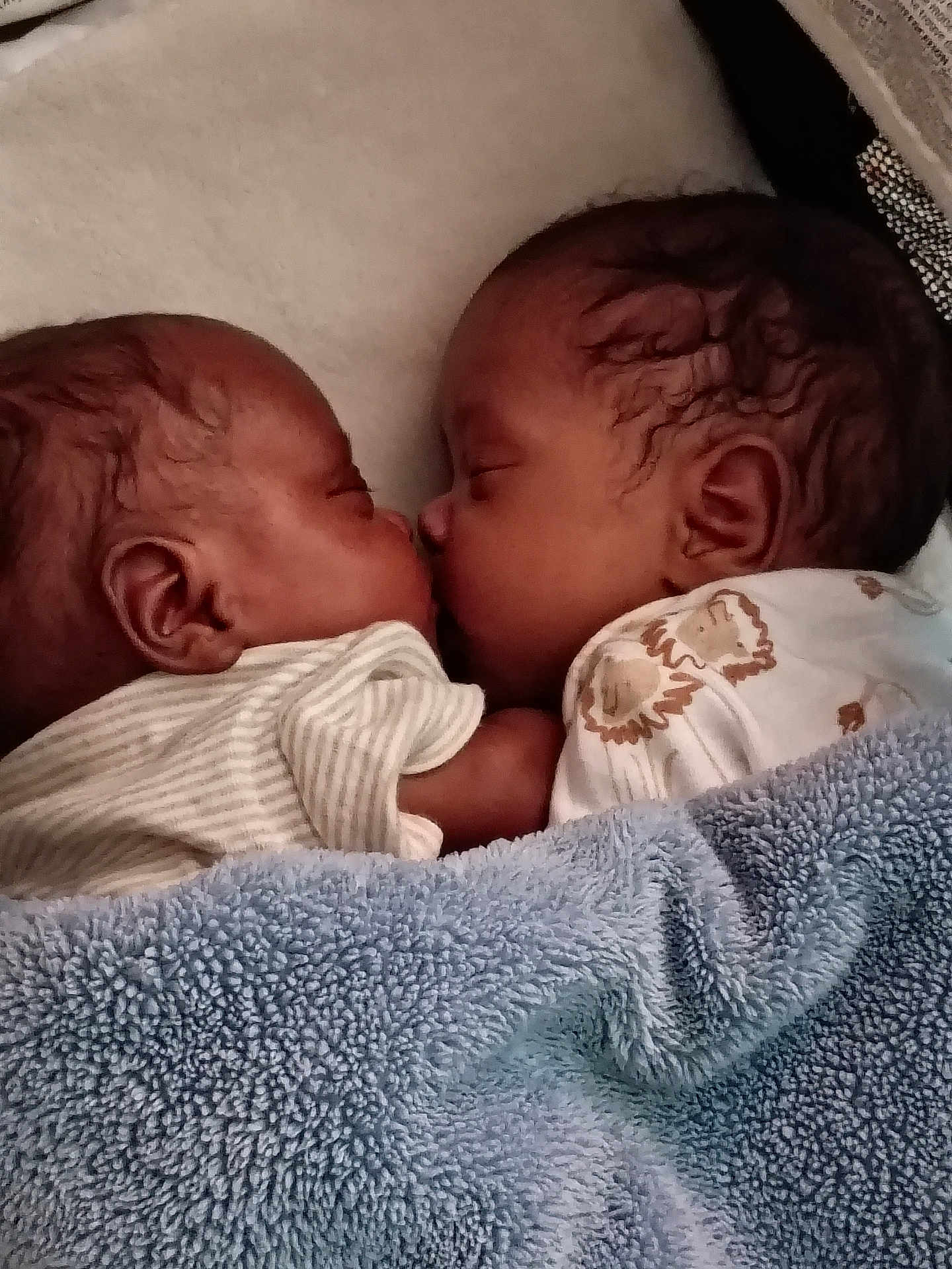 Williams joined the competition — help win amazing prizes! baby, newborn, sleeping, infant, cute, blanket, twin, closeup, face, sweet, peaceful, soft, cozy, child, portrait, love, family, rest, indoors, warm