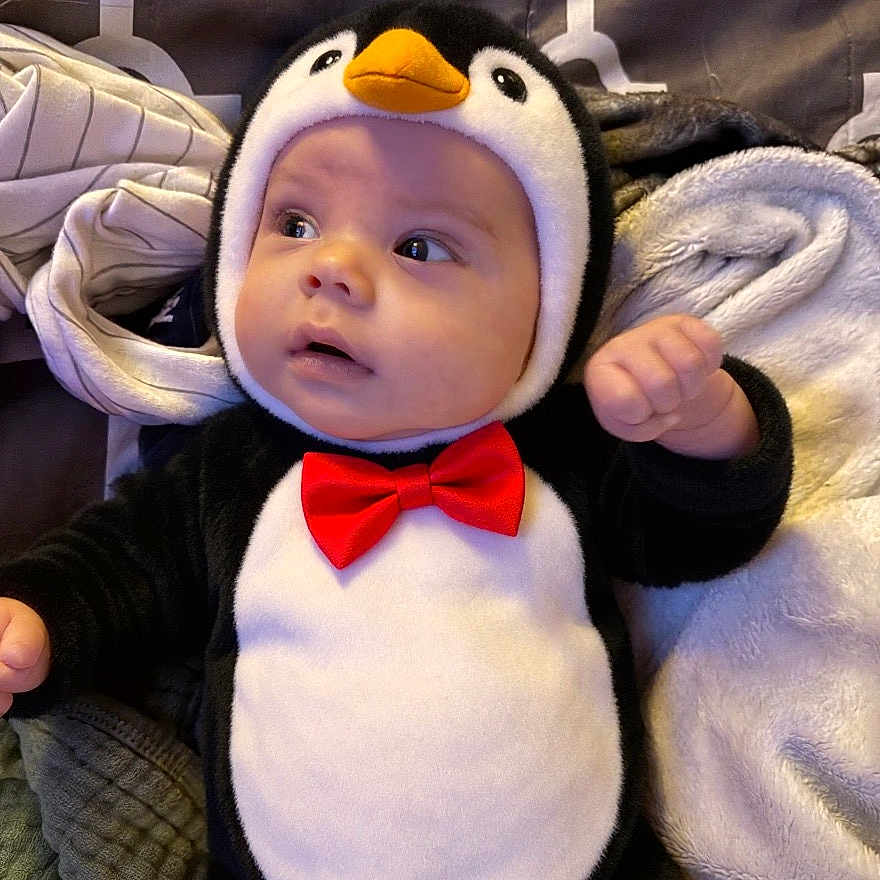 Easton Williams joined the competition — help win amazing prizes! adorable, baby, black_and_white, blanket, child, clothing, cozy, cute, face, fuzzy, hands, indoor, infant, looking_away, orange_beak, penguin_costume, portrait, red_bow_tie, seated, soft_texture