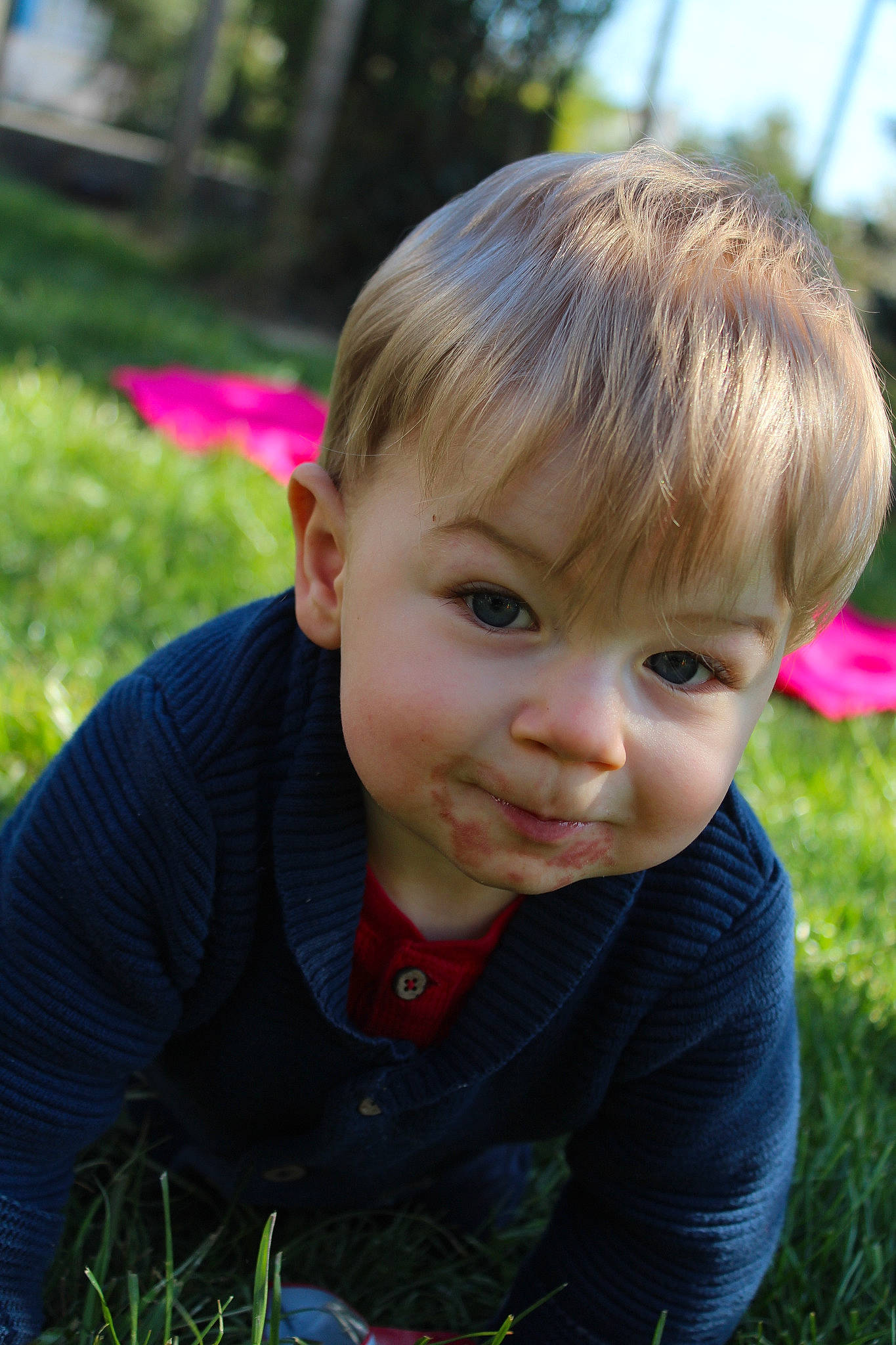 Clément a rejoint le concours — aidez-le/la à gagner de superbes lots ! blond, botany, cheek, child, chin, eye, face, forehead, grass, hair, hairstyle, head, leaf, lip, nose, people, person, skin, spring, summer