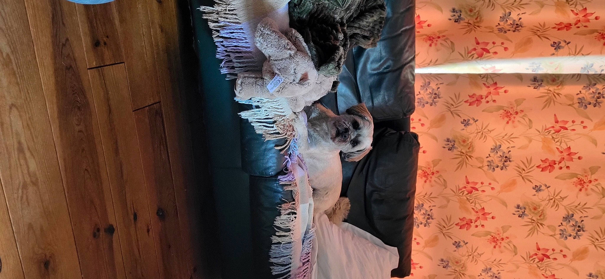 Merlin participe au concours pour gagner de l'argent avec cette photo : angel, art, dress, event, fashion_accessory, fashion_design, feather, formal_wear, fur, haute_couture, linens, peach, petal, pink, plant, tail, tree, visual_arts, wing, wood