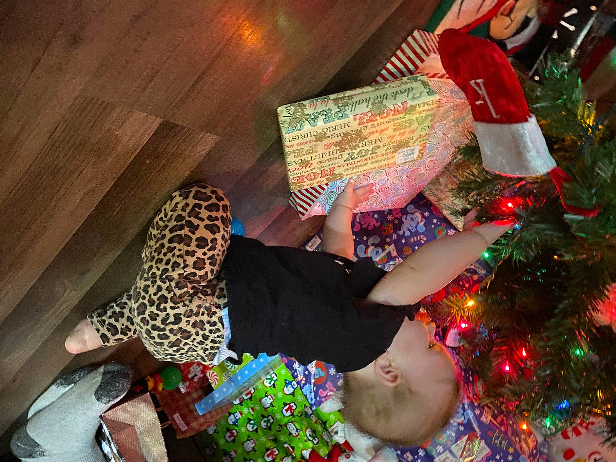 Blakelynn is registered to the contest to win money with this photo: christmas, christmas_decoration, christmas_ornament, christmas_tree, event, fun, green, happy, holiday, holiday_ornament, human_leg, lap, light, ornament, pattern, person, sitting, snapshot, thigh, tradition