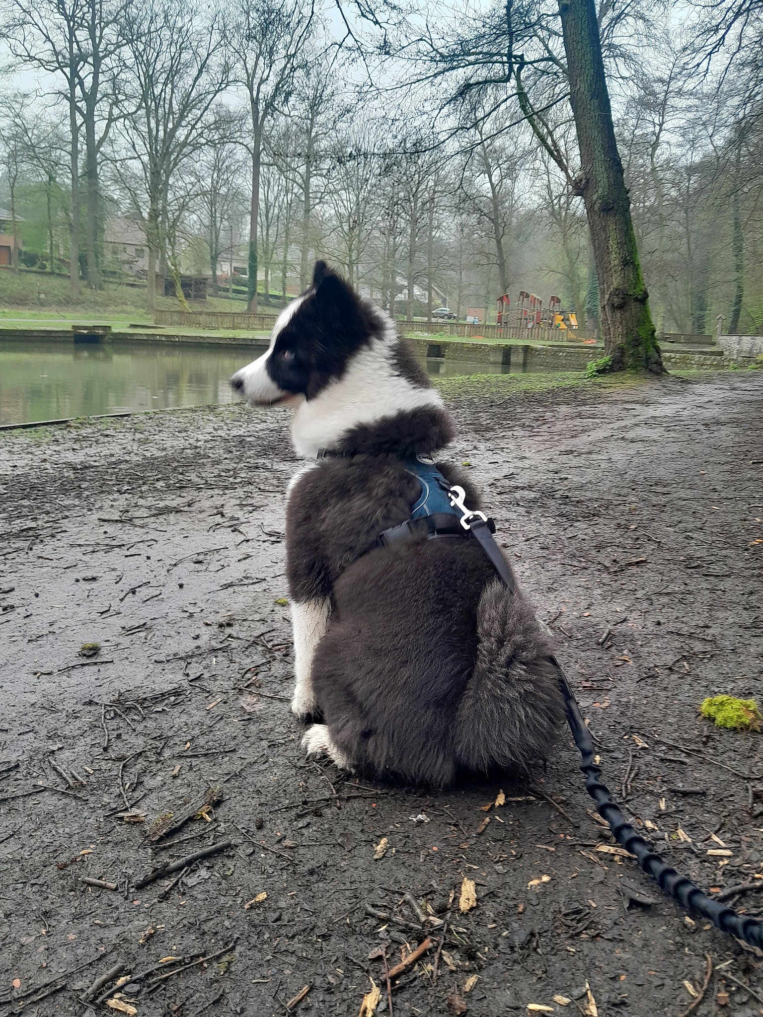 Sokka