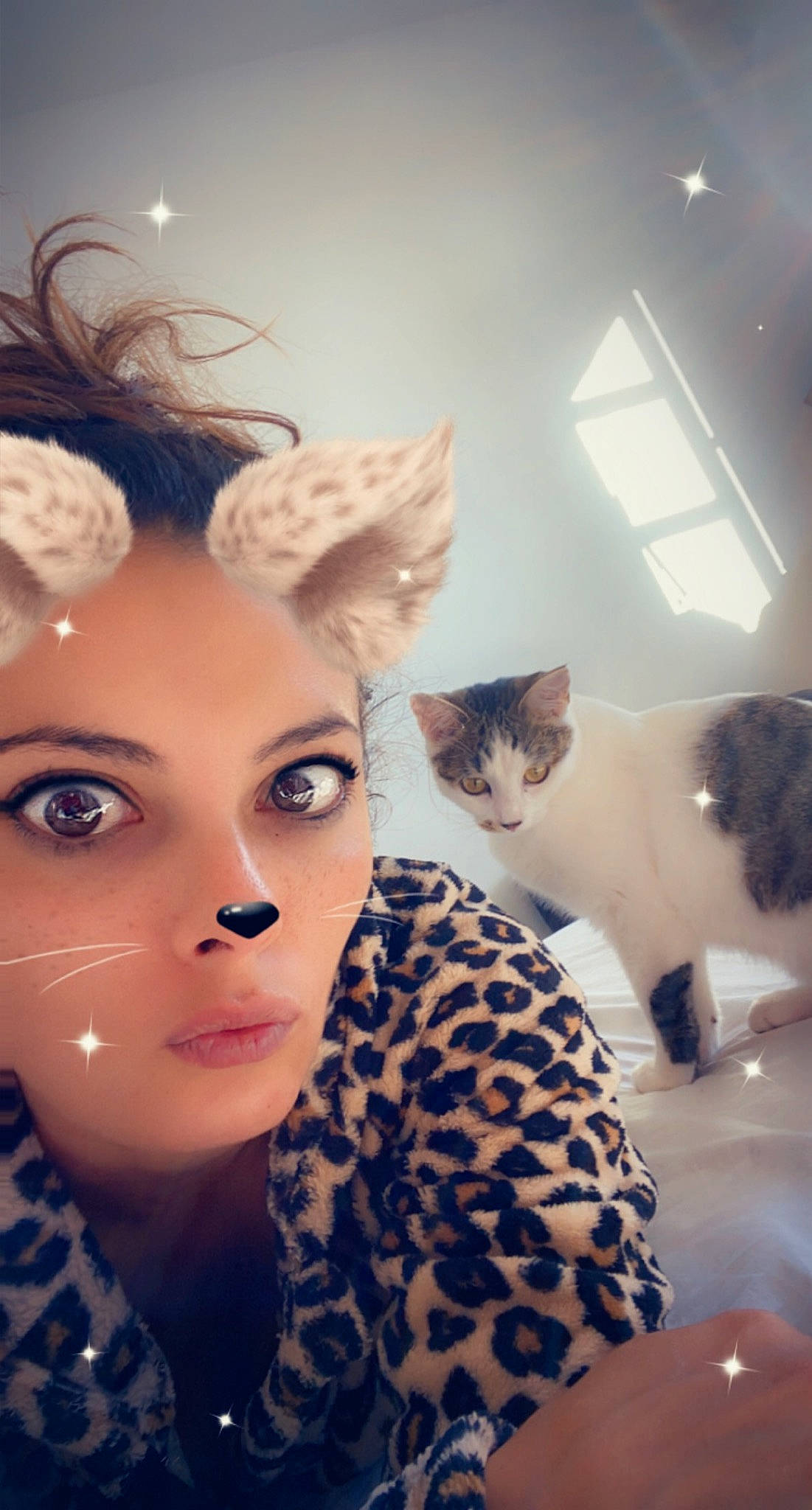 Diamant a rejoint le concours — aidez-le/la à gagner de superbes lots ! beauty, cat, cheek, ear, eye, eyebrow, eyelash, face, felidae, forehead, fur, hair, hairstyle, head, lip, nose, photography, selfie, skin, whiskers