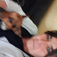 Maya a rejoint le concours — aidez-le/la à gagner de superbes lots ! beagle, canidae, carnivore, comfort, companion_dog, dog, dog_breed, eyelash, eyewear, flash_photography, fur, hound, toy_dog